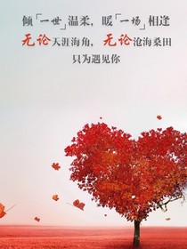 帝仙專寵愛妃