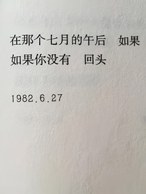 暢看星辰，暮賞梅