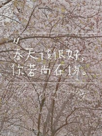 你是我青春里的一束光