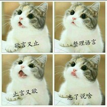 我可以單身但我粉的cp必須結(jié)婚