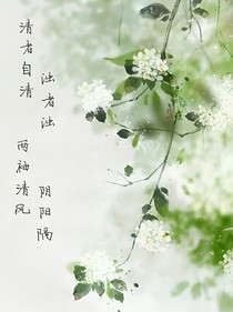 曇花一笑笑繁華