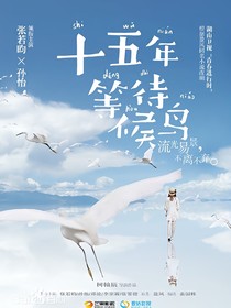 十五年等待候鸟1