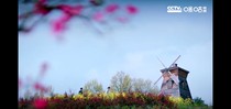 三节恋