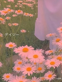 青春有你二之甜甜的恋爱-d786