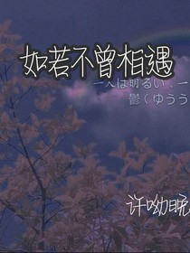 如若不曾相遇
