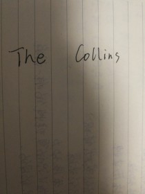 综英美TheCollins