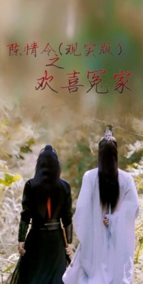 陈情令（现实版）之欢喜冤家