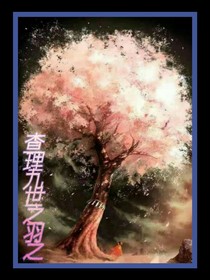 查理九世之羽之