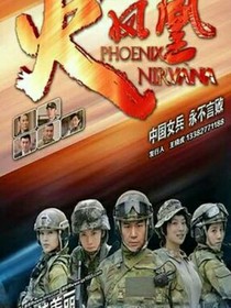 特种兵之火凤凰续——d251