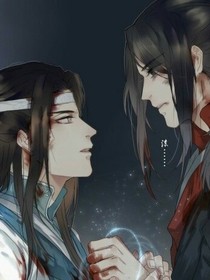 妃殇