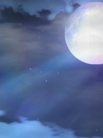 定不负这相思意……