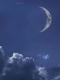 第四晚心動