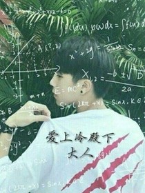 爱上冷殿下大人