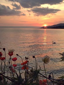 那年……夏天……