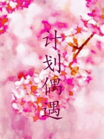 計劃偶遇