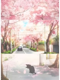 那棵樱花树……