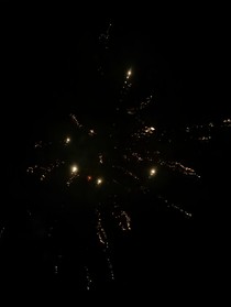你是我的鸢尾