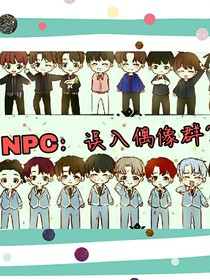 NPC：误入偶像群？！
