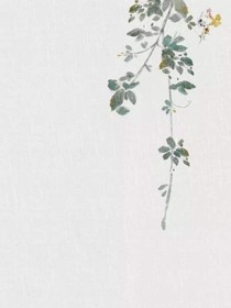 叶天恩