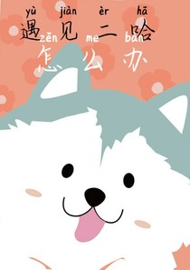 遇见二哈怎么办