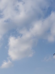 （戏）（歌）（相声）