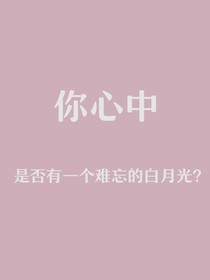 我的追光者