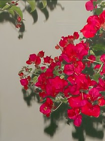 椽嫦集