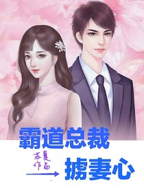 霸道总裁掳妻心