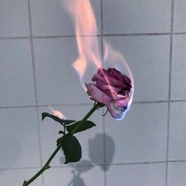 快穿之做系统真难