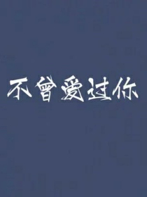你沒愛過我