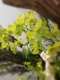 青春你好，童年再見！