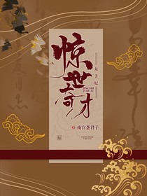 驚世奇才太子妃