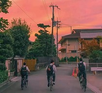 南飛歸去