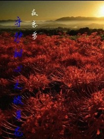 love守護(hù)甜心之彼岸花開love