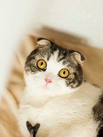 我不想做人了（是我是我还是我）