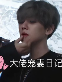 大佬宠妻日记