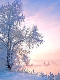 虚界山海花夕
