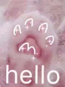 给蜜儿的照片