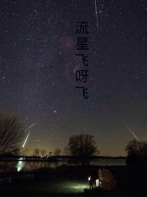流星飛呀飛
