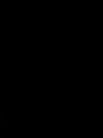 回家颶風(fēng)