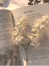 欢喜冤家却最后成了情侣？