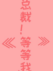 總裁！你等等我