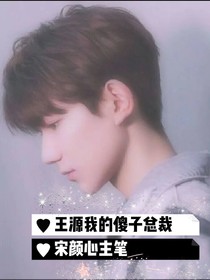 王源我的傻子總裁