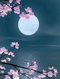 白月光死后（快穿）
