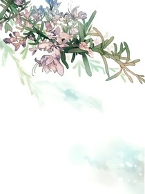 随缘随缘