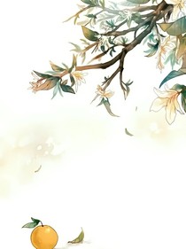 随念随念