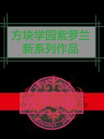 方块学园双子小队