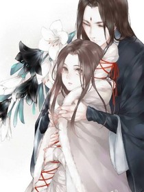 腹黑王爷与高冷王妃