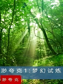 渺夸克1：梦幻试炼