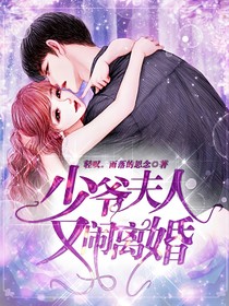 少爺夫人又鬧離婚